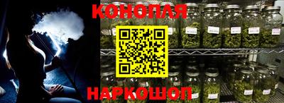 крисы Будённовск