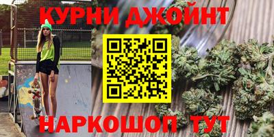 крисы Будённовск